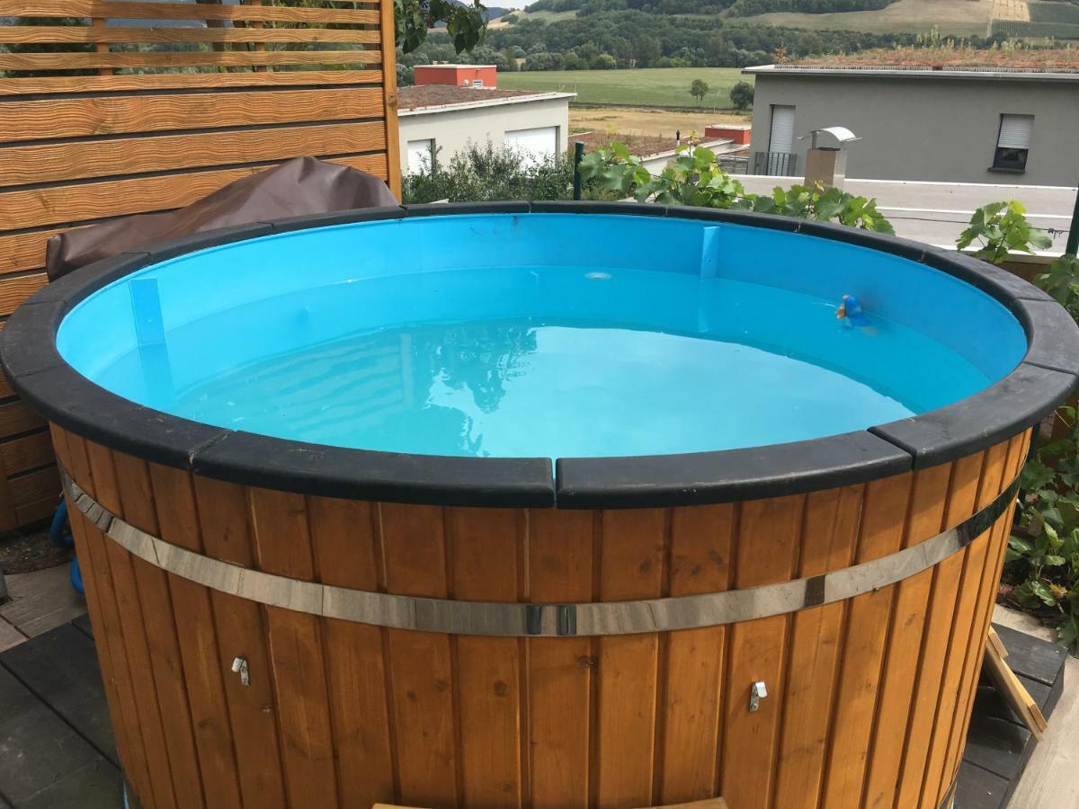 Romantische Ferienwohnung Mit Fantastischem Ausblick, Pool Und Gartensauna Jena Esterno foto